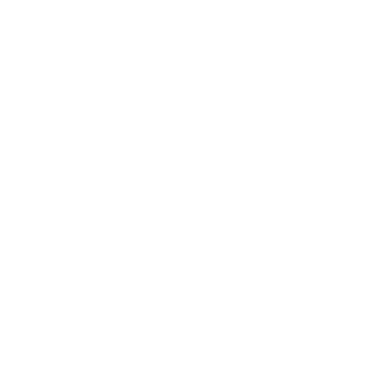 Logo Hoops Factory Lille