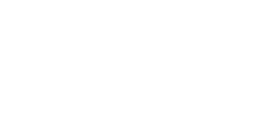 Logo SDLS Invest